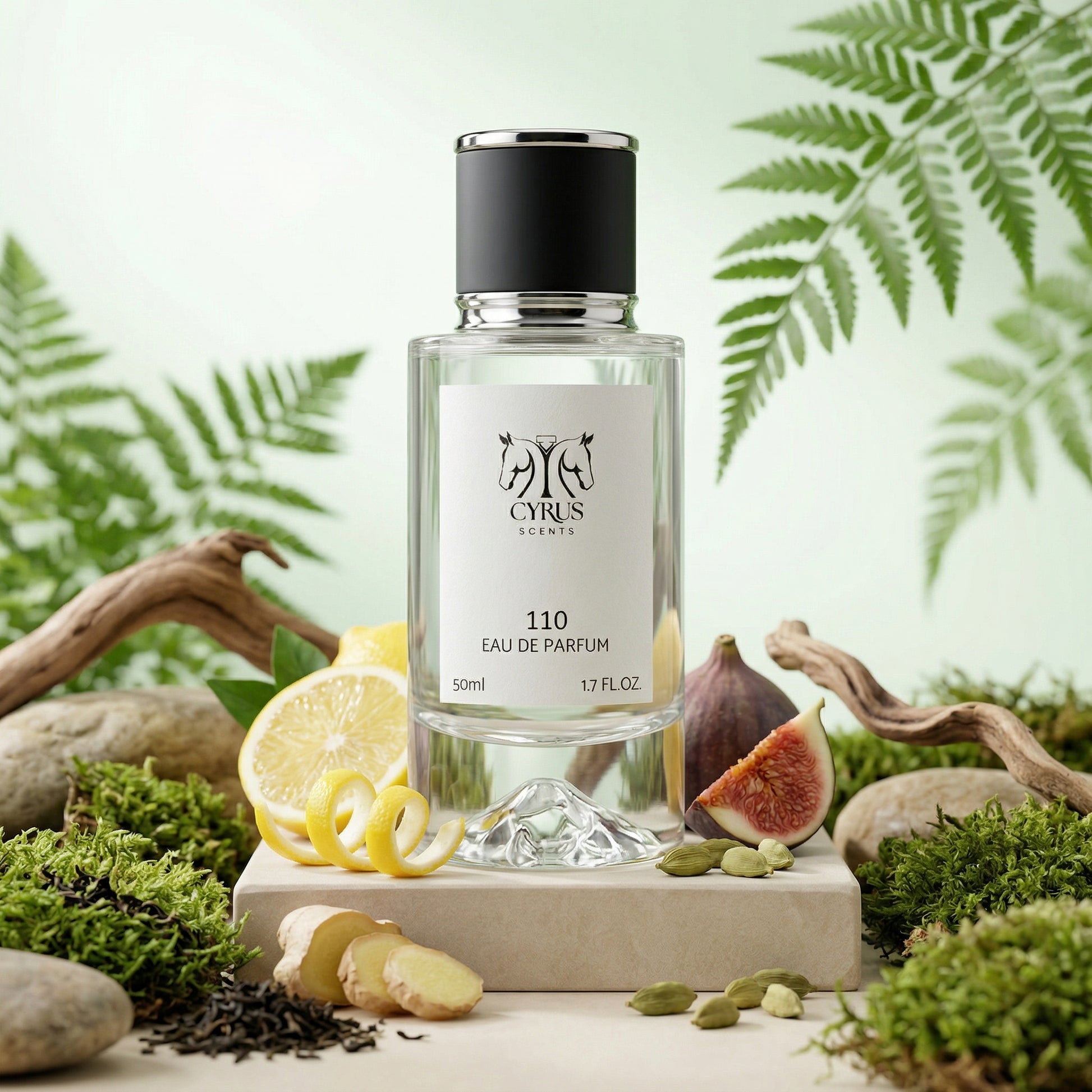 Cyrus 110 - Inspired by Ambre Nuit, Christian Dior