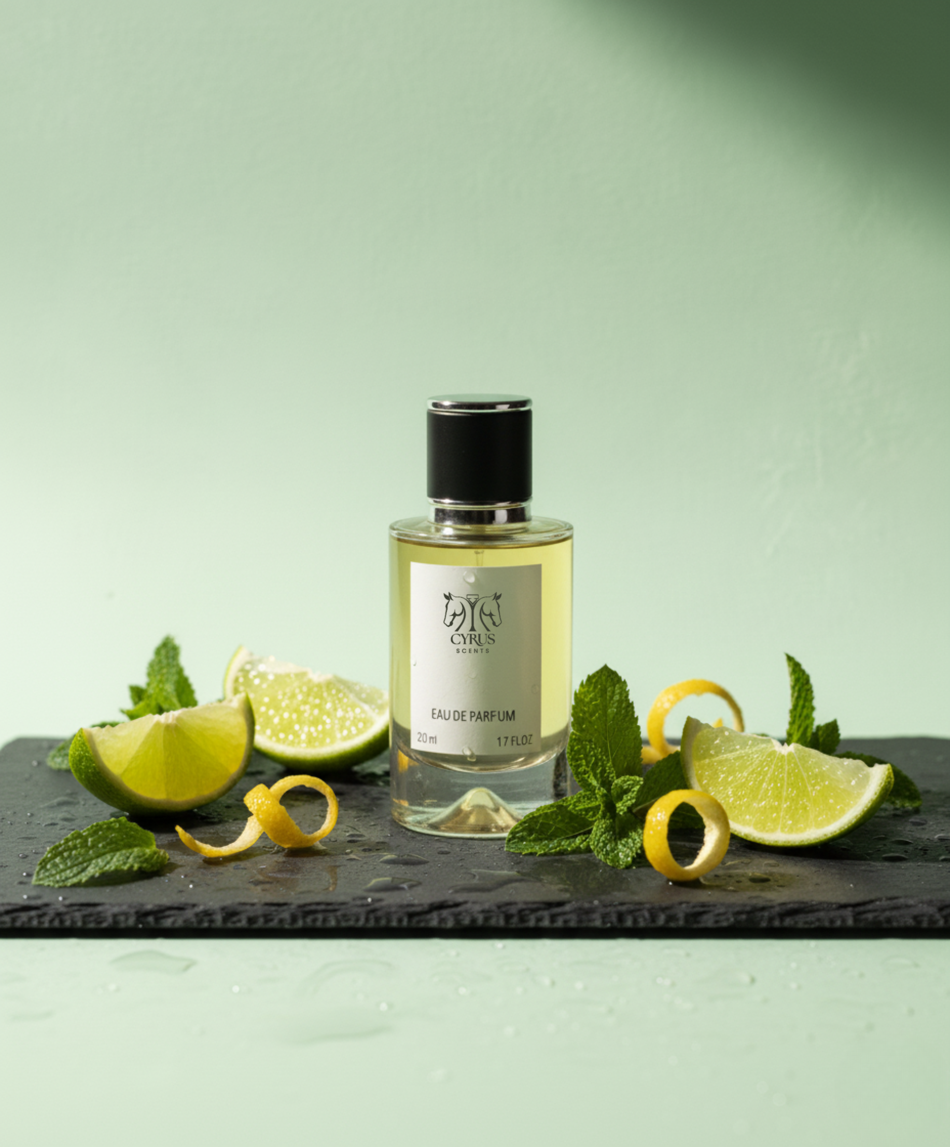 Cyrus 105 - Inspired by Sauvage Parfum, Christian Dior